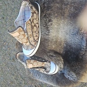 Coach Women's Slip-On Sneakers - Brown and White